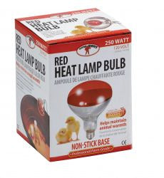 A 250-watt red heat lamp bulb in its packaging, featuring an image of two chicks.
