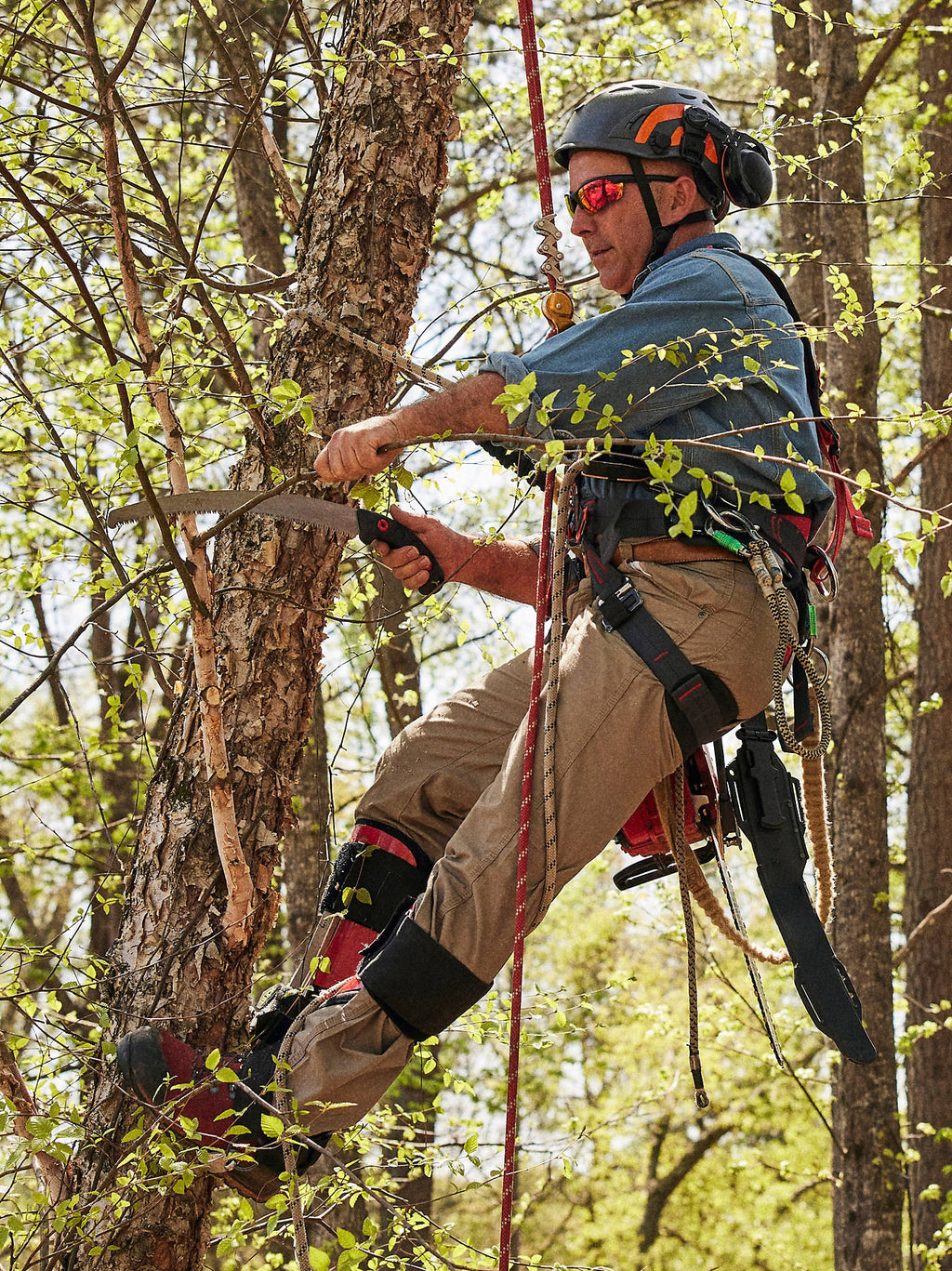 Outdoor work scene showing Dark Khaki RIGGS pants worn by a worker using tree-climbing equipment.