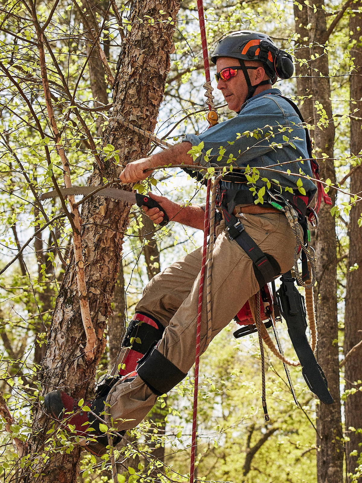 Outdoor work scene showing Dark Khaki RIGGS pants worn by a worker using tree-climbing equipment.
