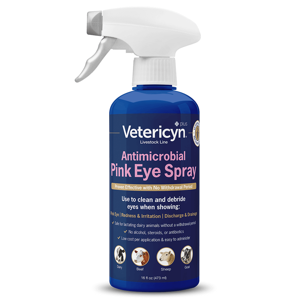 A 16-ounce bottle of Vetericyn Plus antimicrobial pink eye spray with a trigger nozzle.