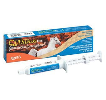 A Quest Plus Equine Oral Gel syringe is displayed in front of its product packaging box.