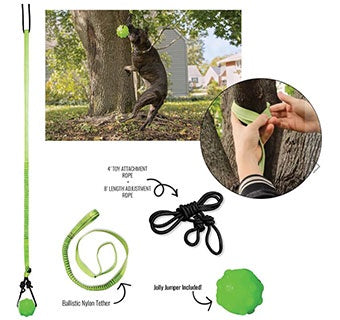 Jolly Pets Tree Tugger