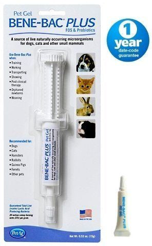 A 15g syringe of Pet-AG Bene-Bac Plus probiotic gel for dogs, cats, and small mammals.