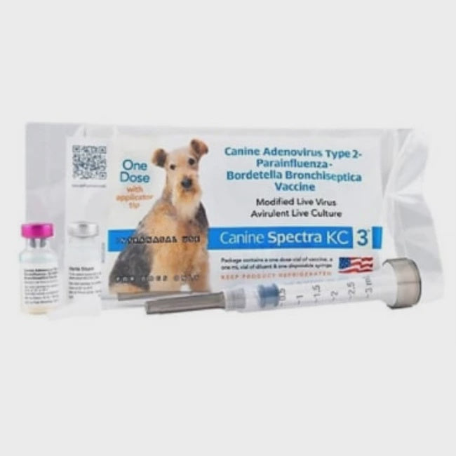 A single dose of Canine Spectra KC vaccine with a diluent vial and an intranasal applicator.