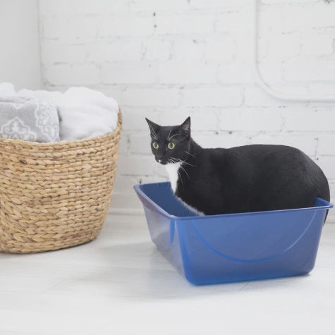Petmate Basic litter pan in use; cat and accessories not included