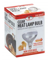 A Little Giant 250-watt clear heat lamp bulb in its retail packaging featuring baby chicks.