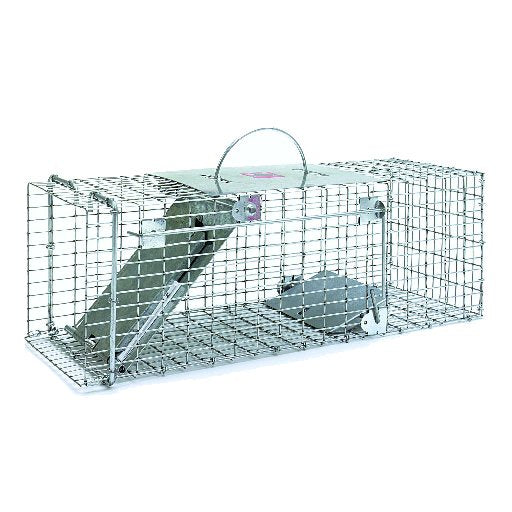 A galvanized wire mesh live animal trap with a spring-loaded door and carrying handle.