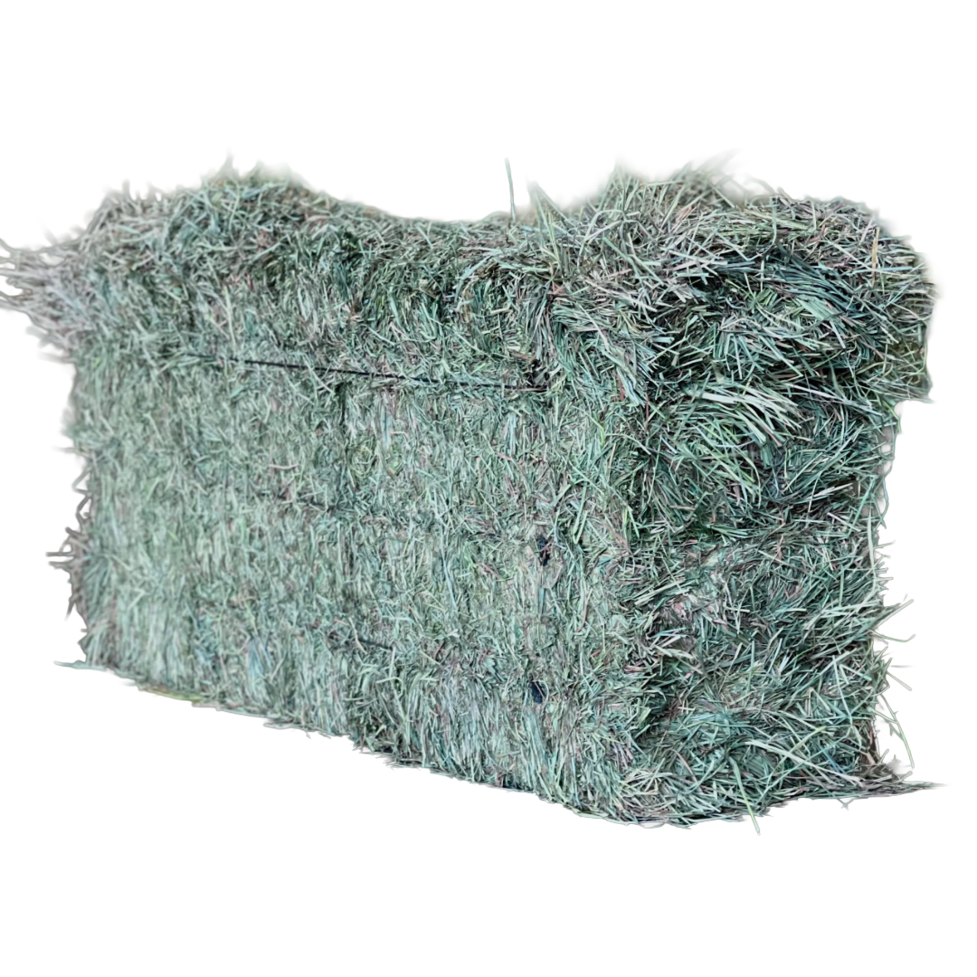 Orchard Grass Bale
