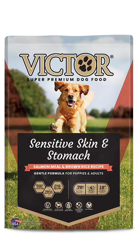 A bag of Victor Sensitive Skin and Stomach salmon meal and brown rice dog food.