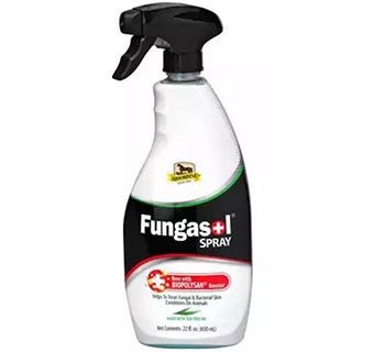 A 22 fluid ounce spray bottle of Absorbine Fungasol for treating skin conditions on animals.