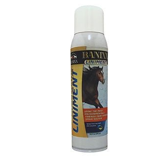 A 13.2 fluid ounce aerosol spray bottle of Banixx Premium Analgesic Liniment for horses.