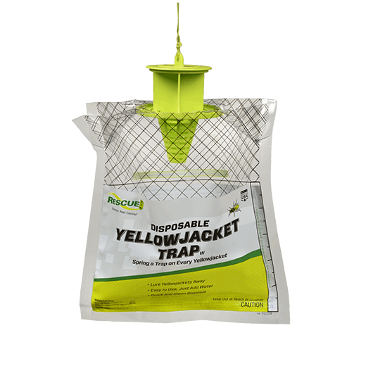 A disposable yellowjacket trap with a lime green plastic top and a clear, patterned bag.