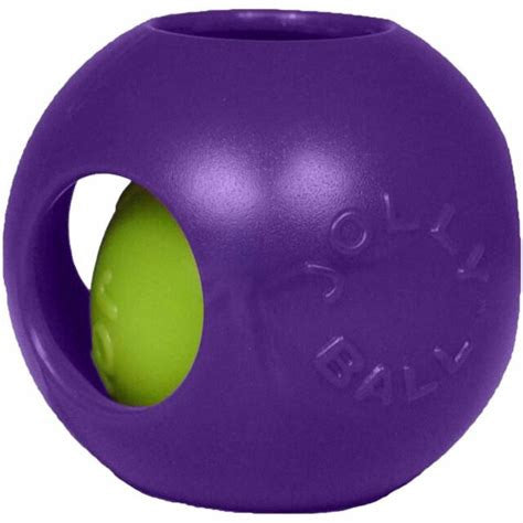 Jolly Teaser Ball in Purple