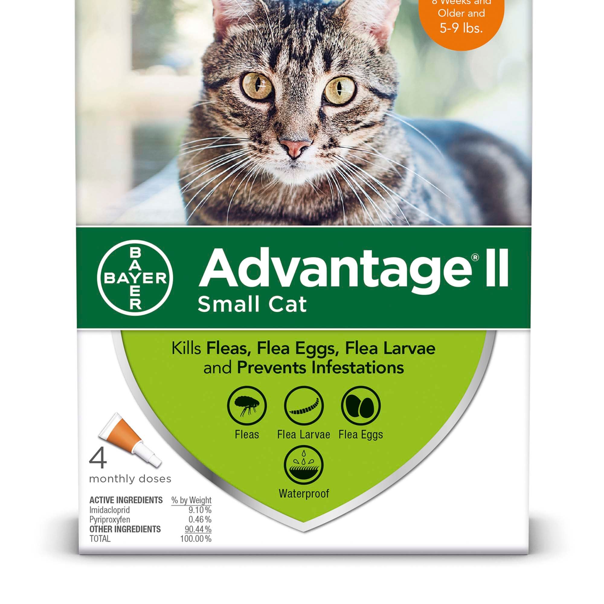 Advantage II flea treatment for small cats in a four-dose box.