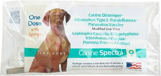 A single dose package of Canine Spectra 9 vaccine for dogs featuring a picture of a dog.