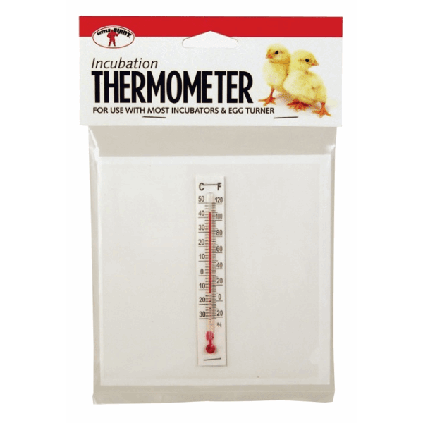 A Little Giant incubation thermometer mounted on a clear sheet with Celsius and Fahrenheit scales.