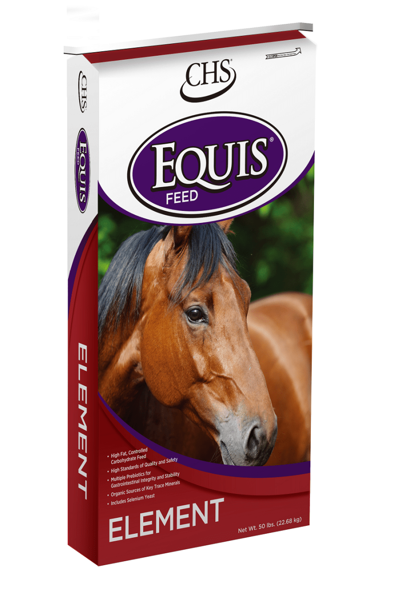 A 50-pound bag of Equis Element horse feed featuring a portrait of a brown horse.