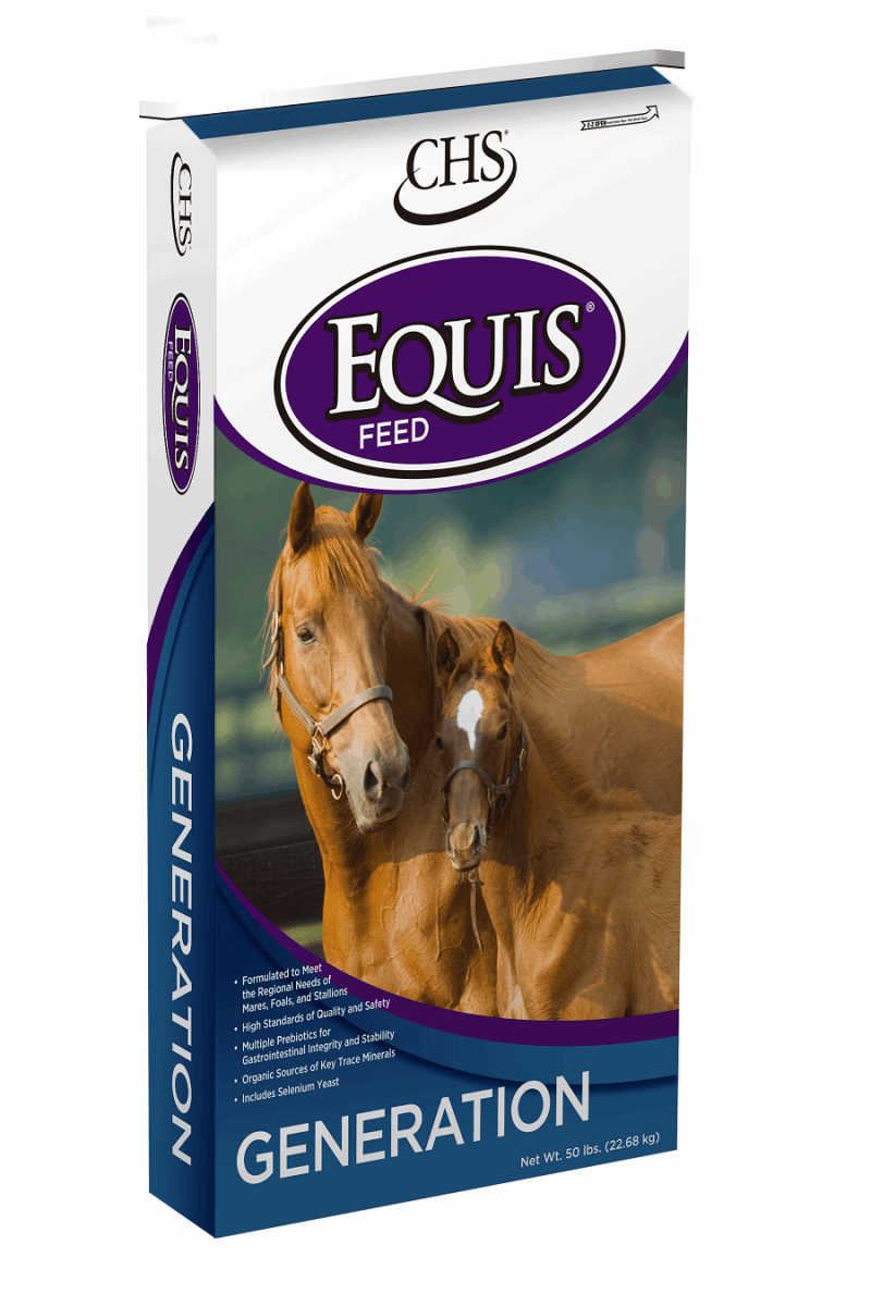 A fifty-pound bag of Equis Generation horse feed featuring an image of a mare and her foal.