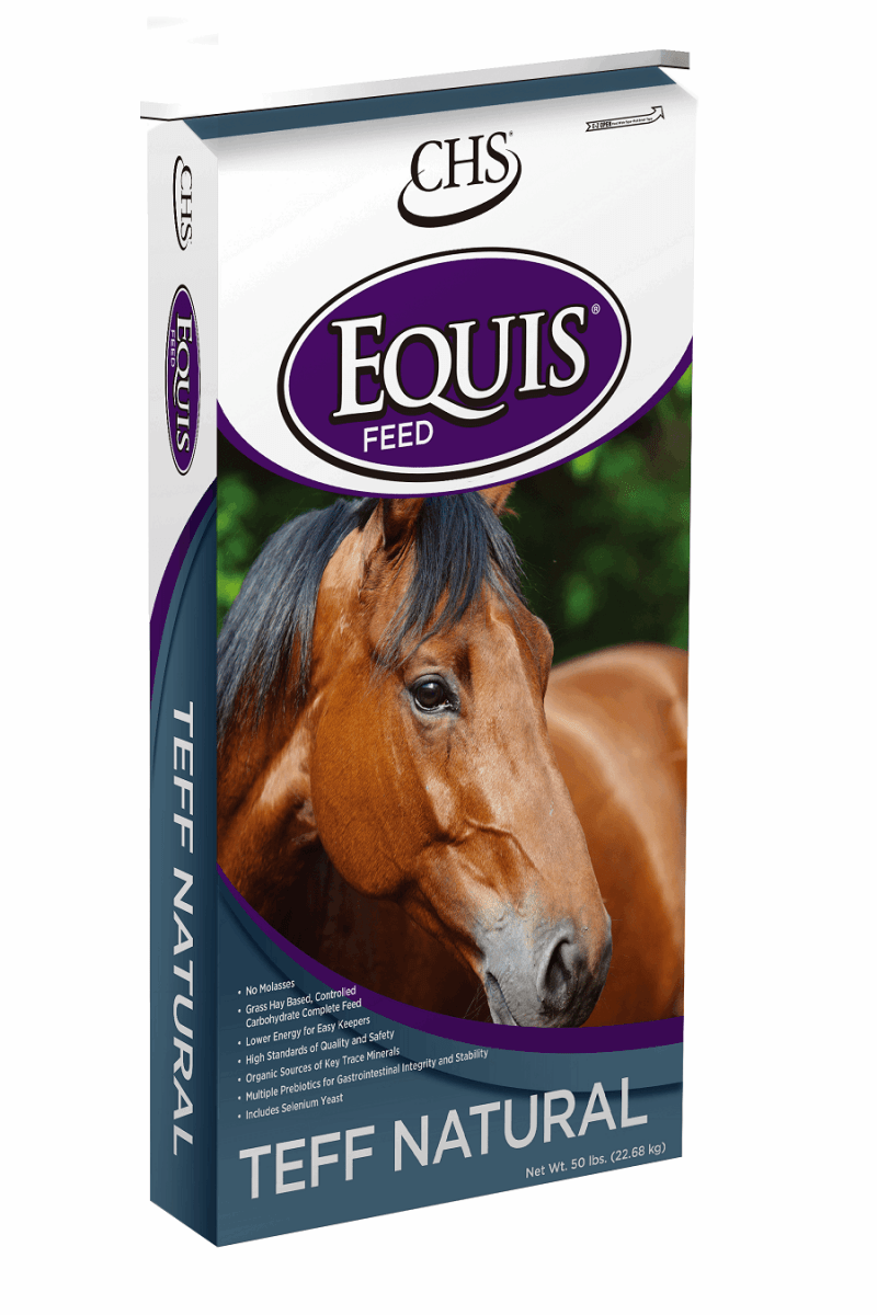 A fifty-pound bag of Equis Teff Natural horse feed featuring a brown horse on the front.