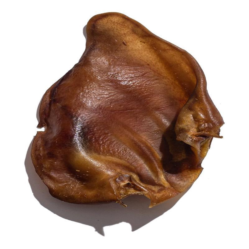 Great Lakes Pet Treats Pig Ear Dog Chew — Single pig ear