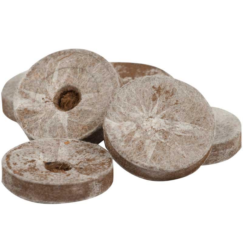 A small pile of dry, compressed peat pellets wrapped in fine mesh netting.