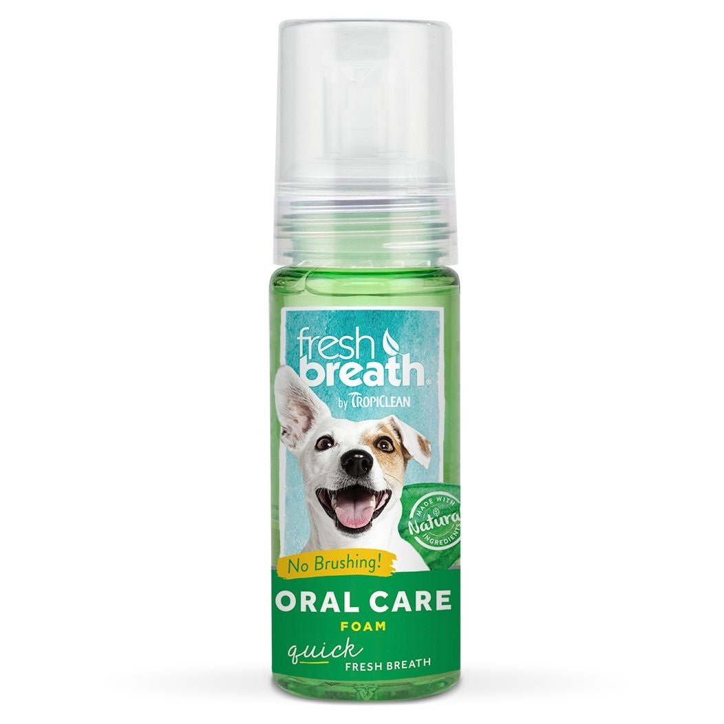 Fresh Breath Mint Foam - The Farm Store
