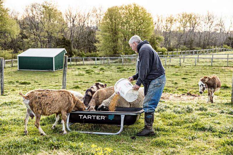 A man pours feed into a black Tarter goat bunk feeder with a durable poly liner and metal frame.