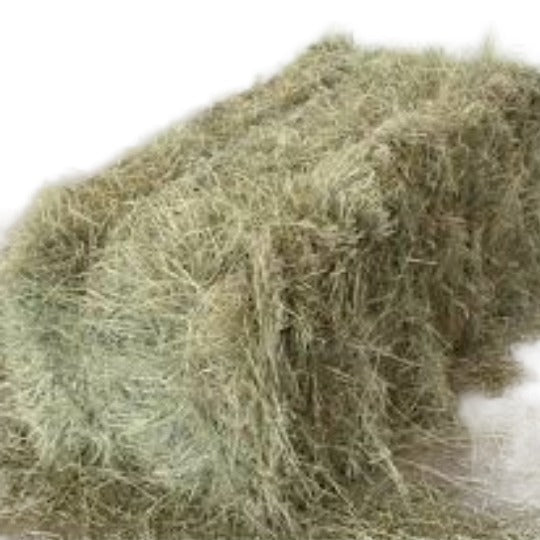 A rectangular bale of dried green grass hay.