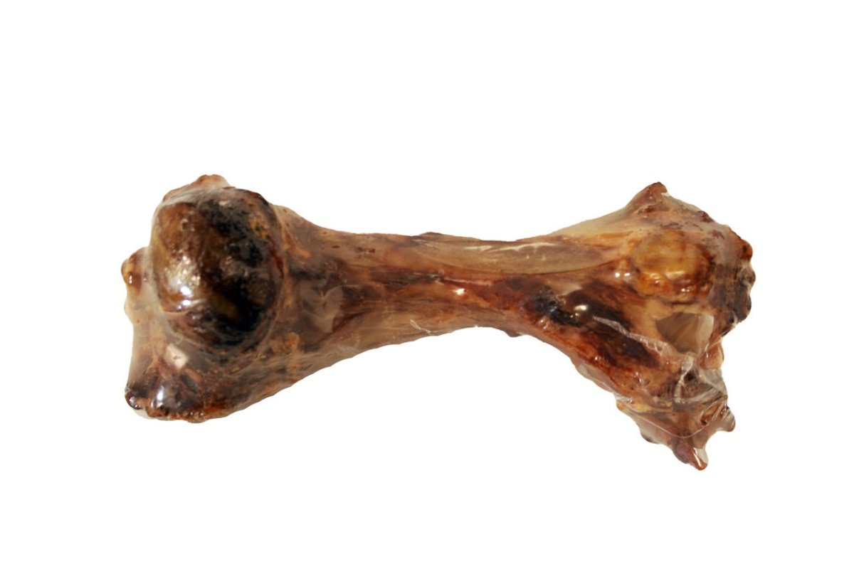 Great Lakes Pet Treats, 15 - 18" Meaty Smoked Dino Bone (Beef) - The Farm Store