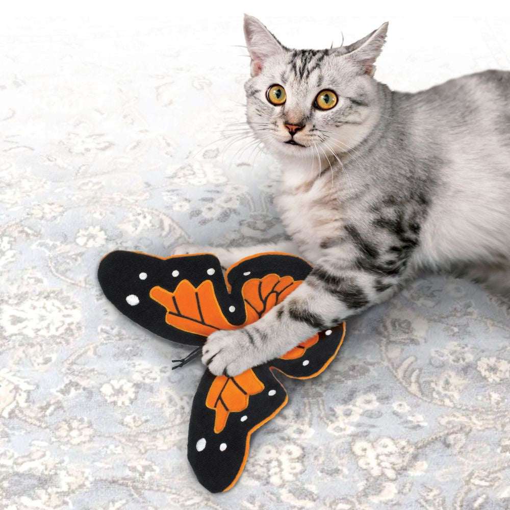 A silver tabby cat plays with a large, orange and black butterfly-shaped crackle toy.