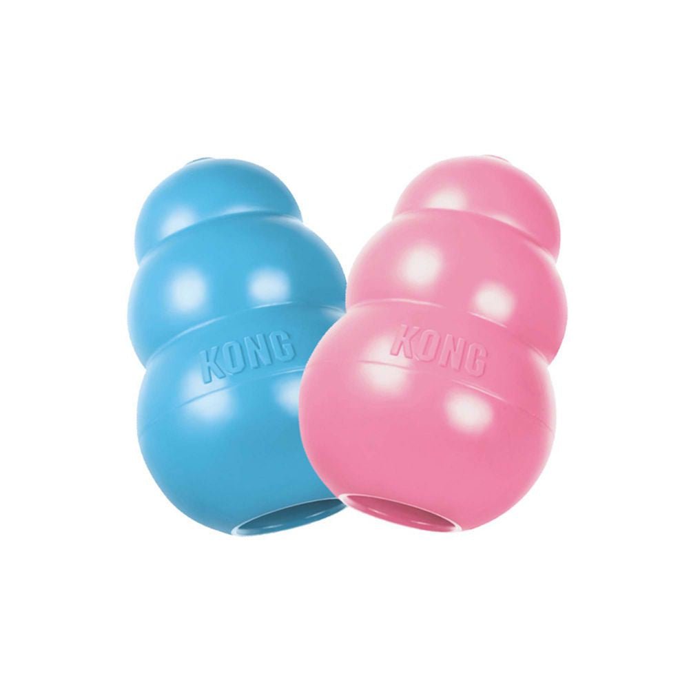 Two puppy KONG toys, one blue and one pink, stand side by side against a white background.