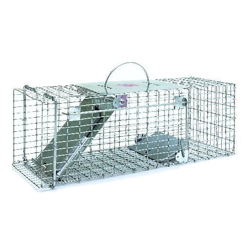A galvanized wire mesh live animal trap with a spring-loaded door and carrying handle.