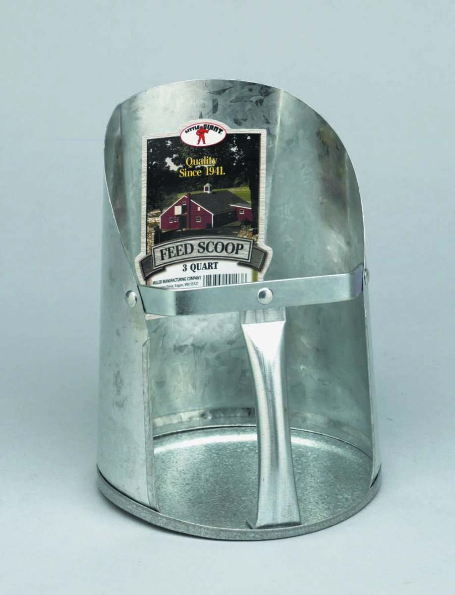 A 3-quart galvanized steel feed scoop with a riveted handle and a flat base.