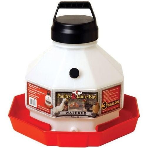 A white three-gallon poultry waterer with a black handle and a red plastic base.