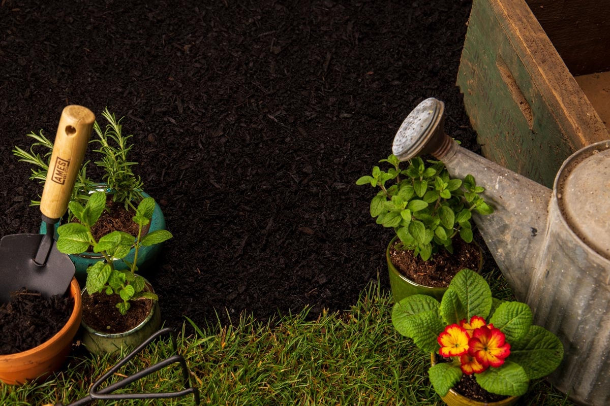 Lane Forest Products Color Rich Mulch, Dark Brown, Bagged — Dark Brown mulch texture; material shown, bag not pictured