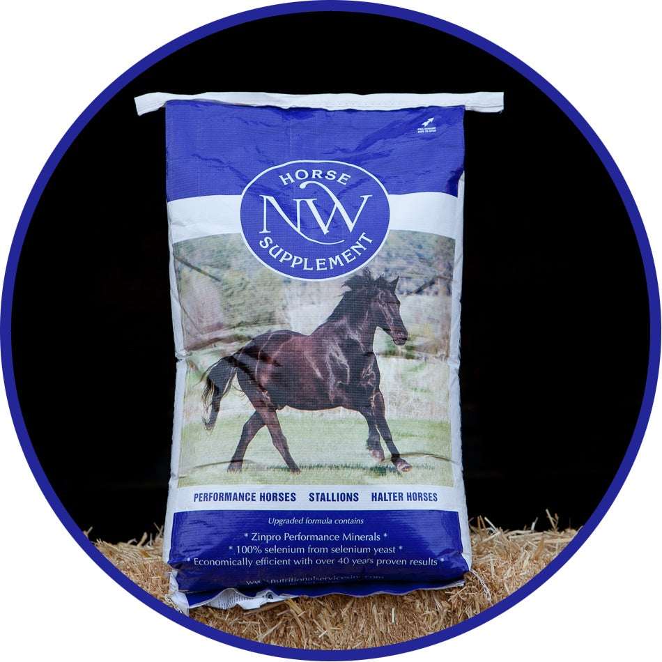 A bag of NW Horse Supplement featuring a picture of a horse on a blue and white background.