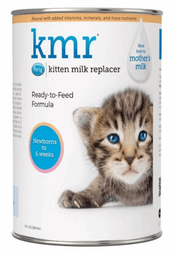 A can of KMR kitten milk replacer featuring a photo of a tabby kitten.