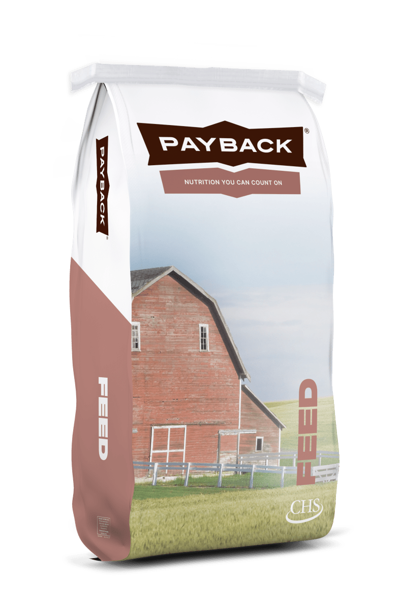 A fifty-pound bag of Payback Alfalfa Pellets featuring a red barn on a grassy field.