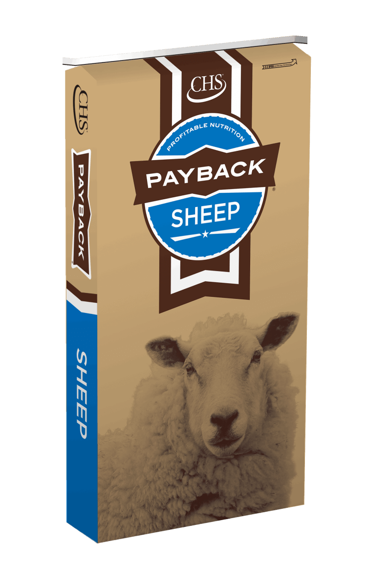 A fifty-pound bag of Payback All Purpose sheep feed featuring a picture of a sheep.