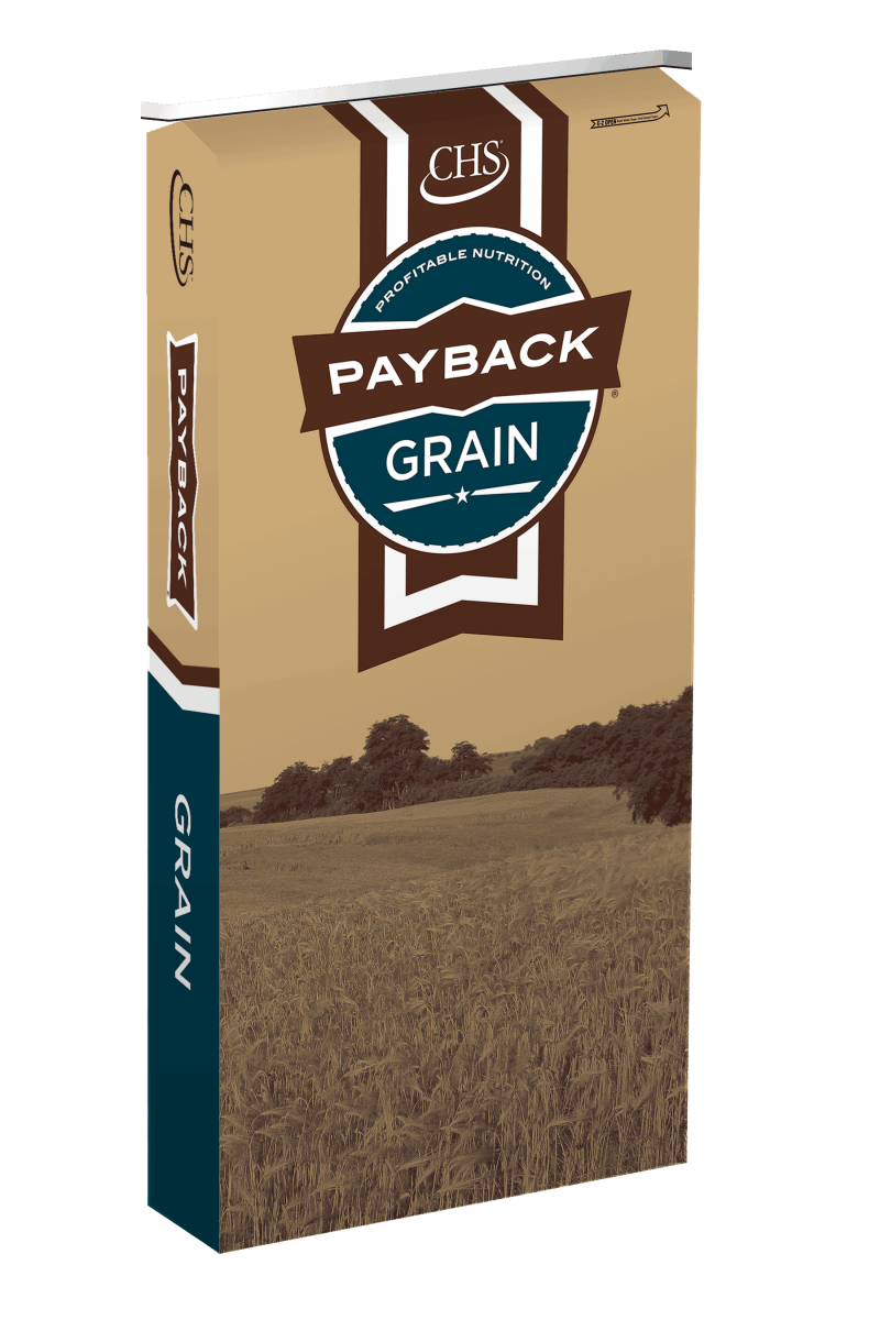 A tall, rectangular bag of Payback Grain animal feed featuring a field landscape design.