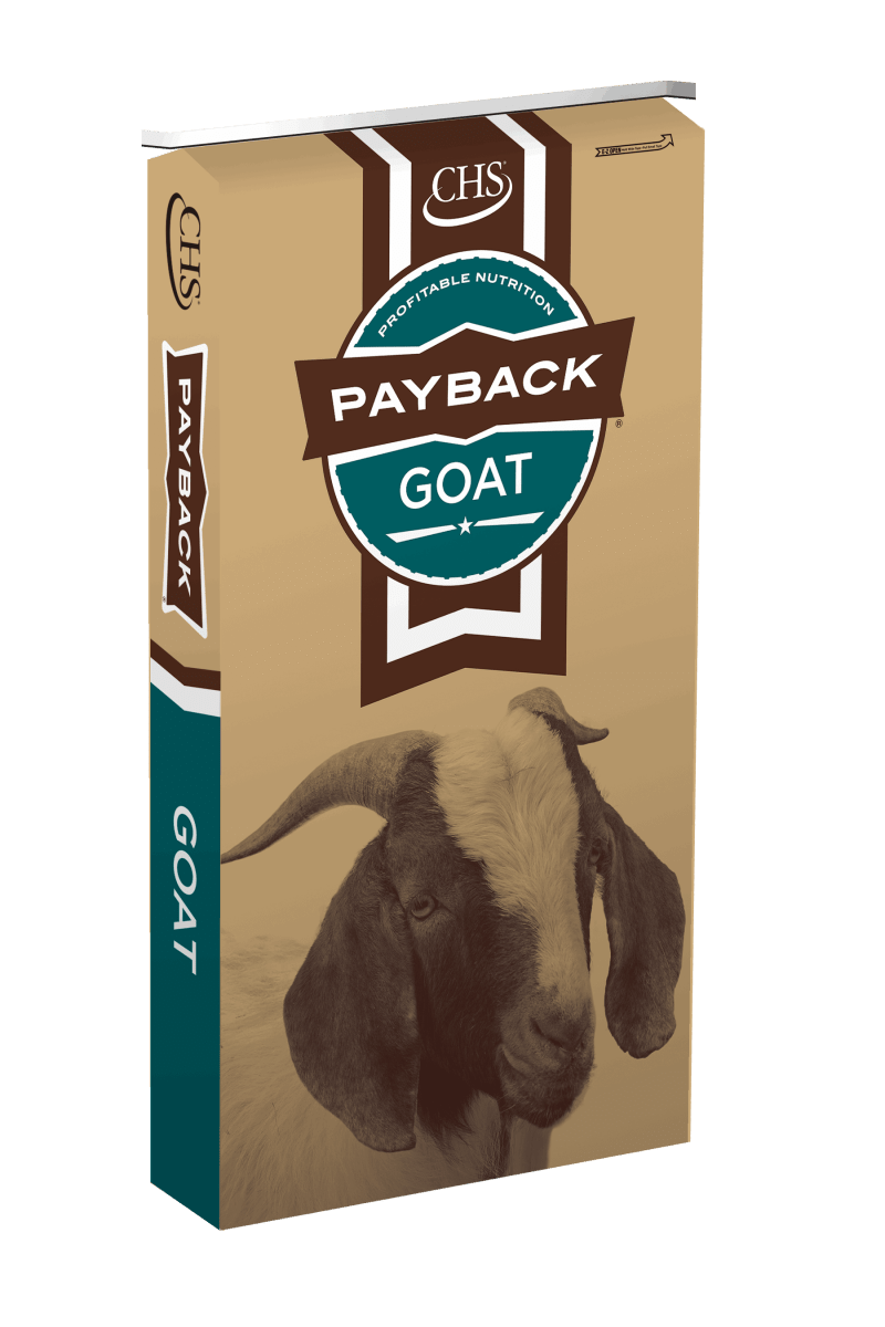 A bag of Payback Goat Tender with Kelp feed featuring an image of a goat.