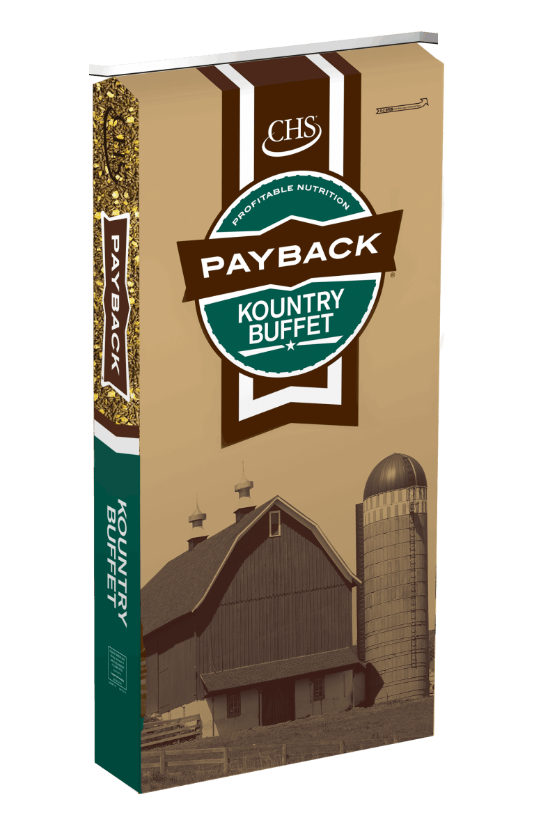 A bag of Payback Kountry Buffet 14 percent feed featuring a barn and silo illustration.