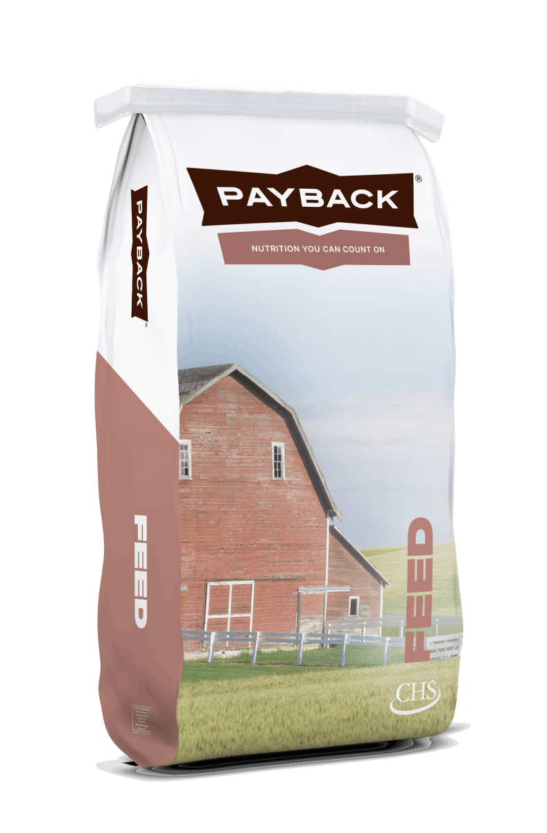 A bag of Payback Llama Lunch pellets featuring a red barn in a field on the packaging.