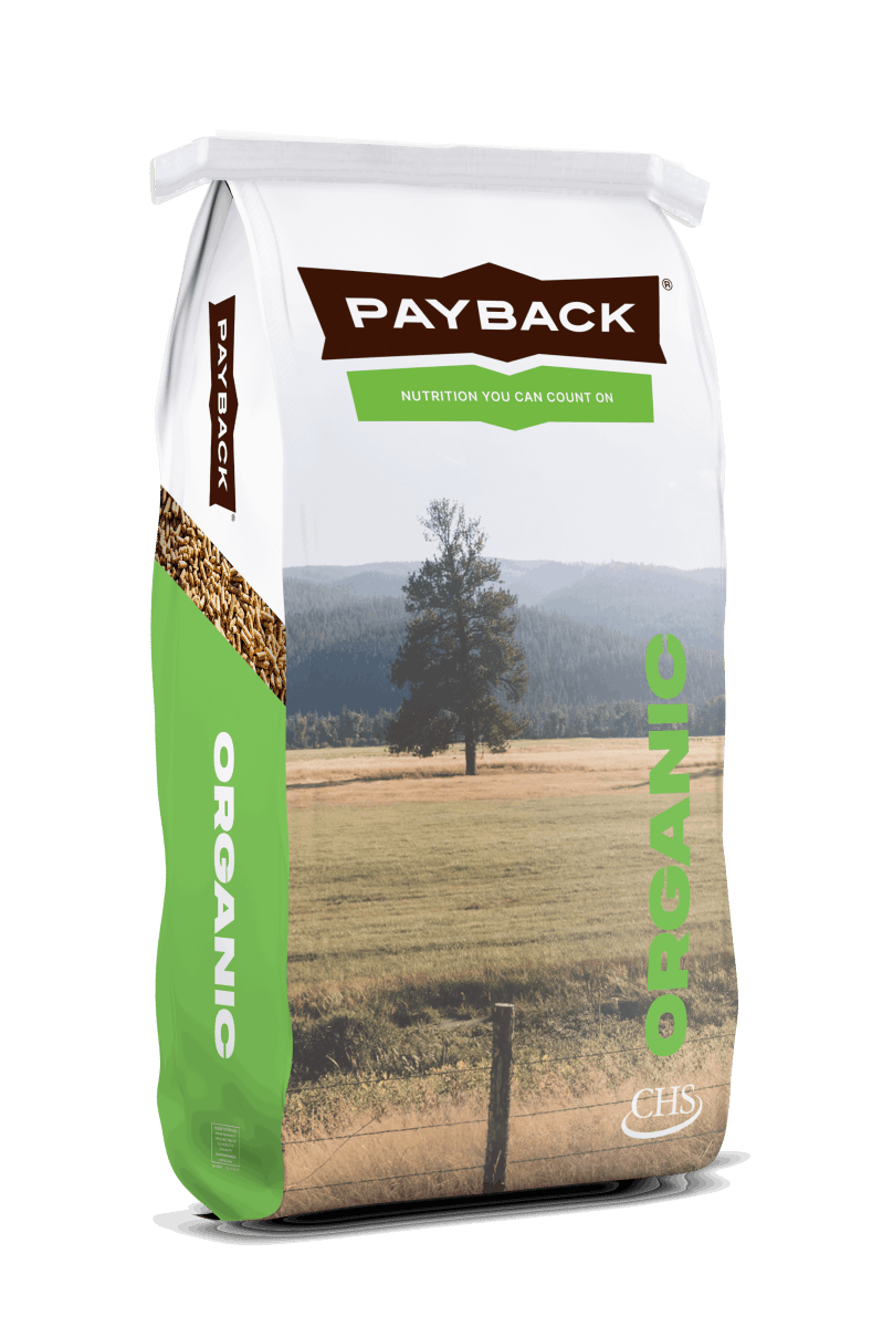 A bag of Payback Organic 2 Grain Scratch feed featuring a landscape image of a field and tree.