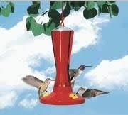 A red hummingbird feeder hangs from a branch with three hummingbirds feeding at the base.
