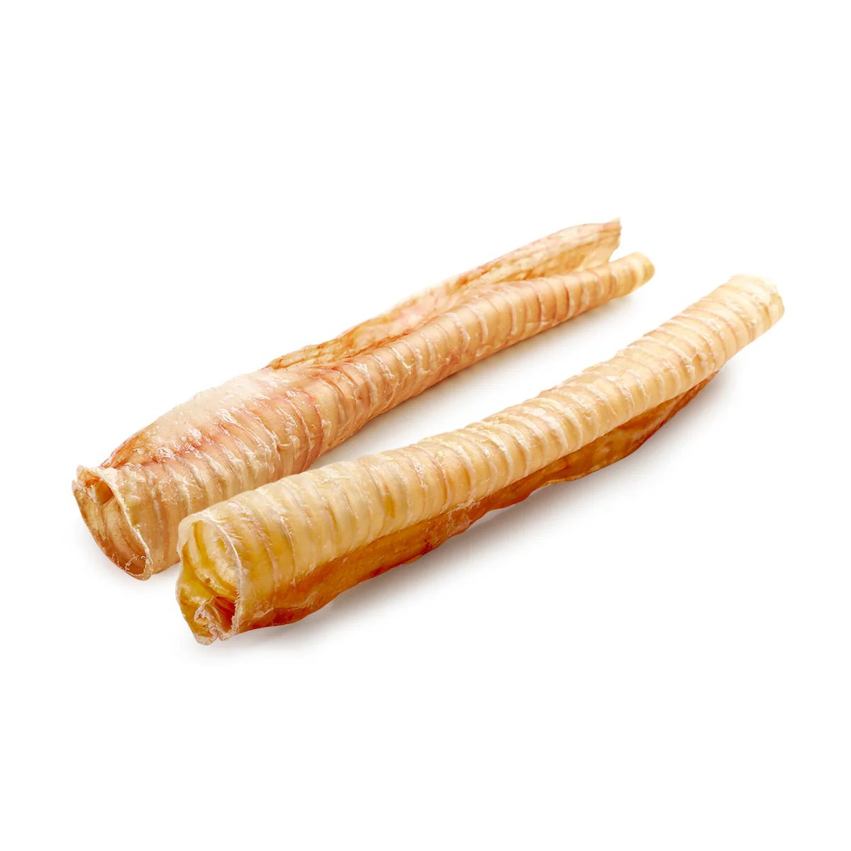 Two dried beef trachea dog chews with a hollow, ringed texture isolated on a white background.