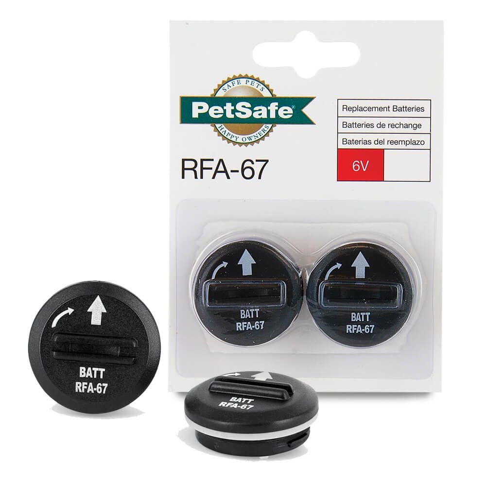 Two PetSafe 6V replacement batteries in their original packaging with one loose battery shown.