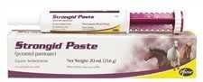 A Pfizer Strongid dewormer paste syringe resting on its product box featuring images of horses.