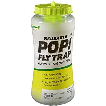 A reusable plastic fly trap with a bright yellow lid and a clear container.