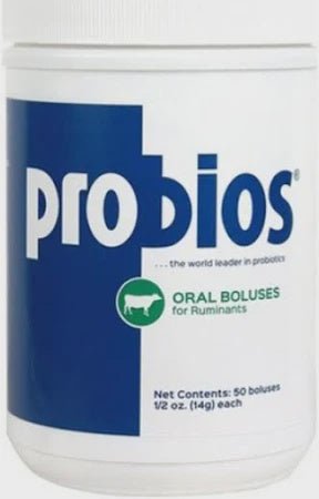 A white plastic jar of Probios oral boluses for ruminants containing 50 count of 1/2 ounce boluses.